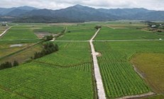 終于發(fā)現(xiàn)！靠譜的免稅煙購買網(wǎng)站推介“感恩戴德”